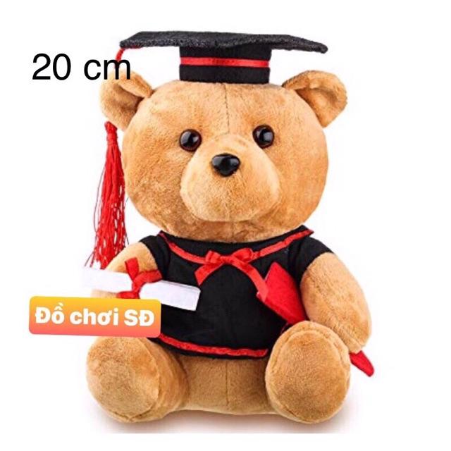 Gấu tốt nghiệp