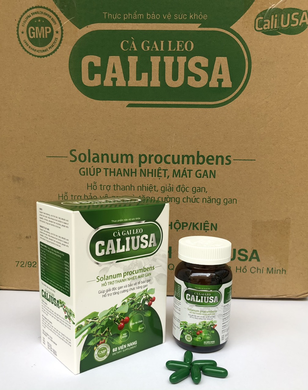 CÀ GAI LEO CALIUSA HỘP