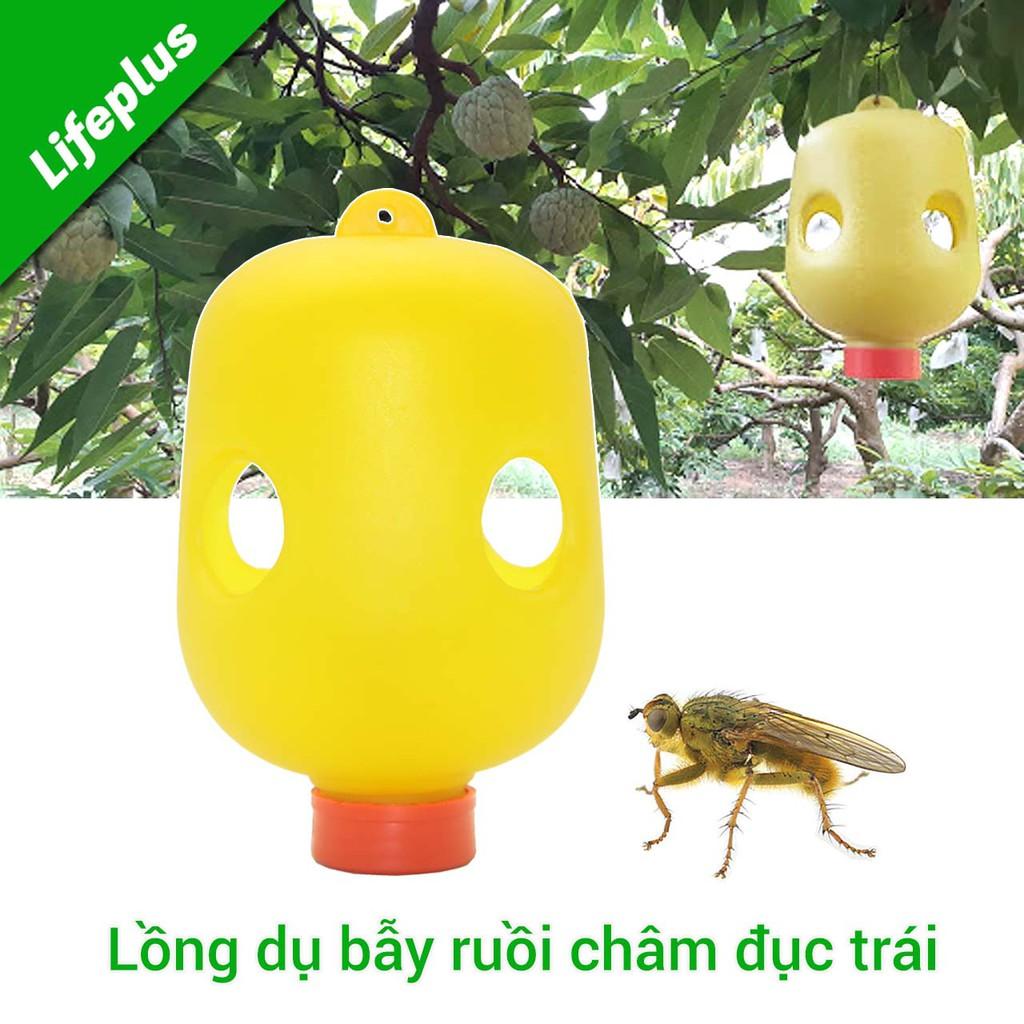 Lồng dụ bẫy ruồi châm đục trái