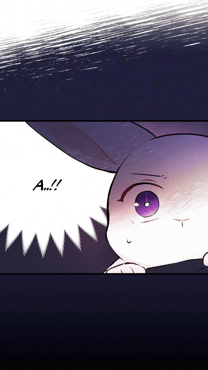 mối liên kết giữa báo đen và bé thỏ chapter 6 58