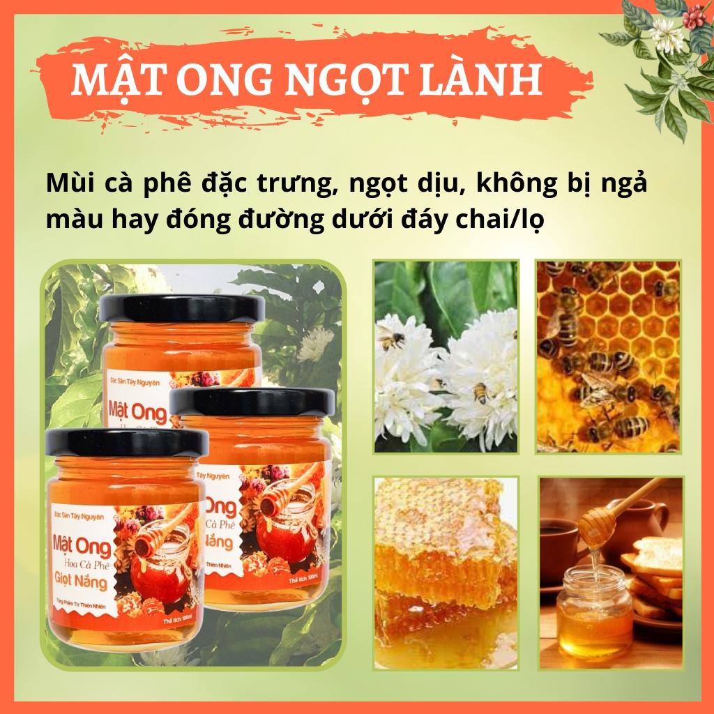 Mật ong hoa cà phê Đăk Lăk cao cấp, nguyên chất bổ dưỡng tốt cho sức khỏe thể tích 100ml từ NÔNG SẢN GIỌT NẮNG