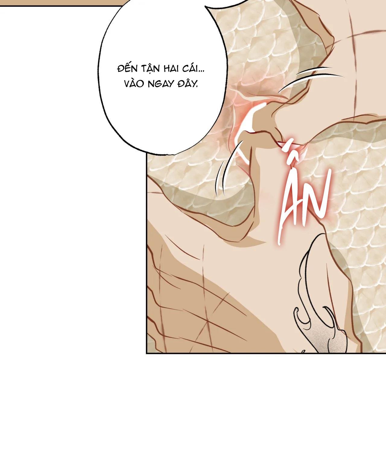 mỹ nhân ngư chapter 10 39