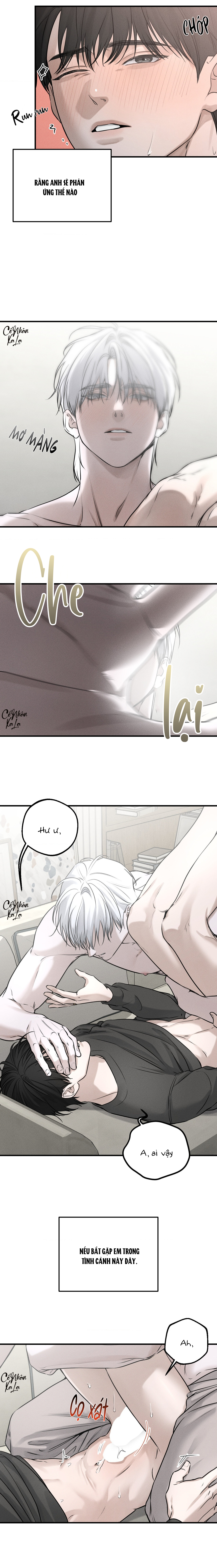 dear teddy bear chapter 10 7