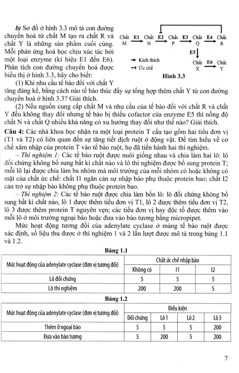 Master Of Biology Questions - Hành Trình Tới Olympic Sinh Học_GDDT