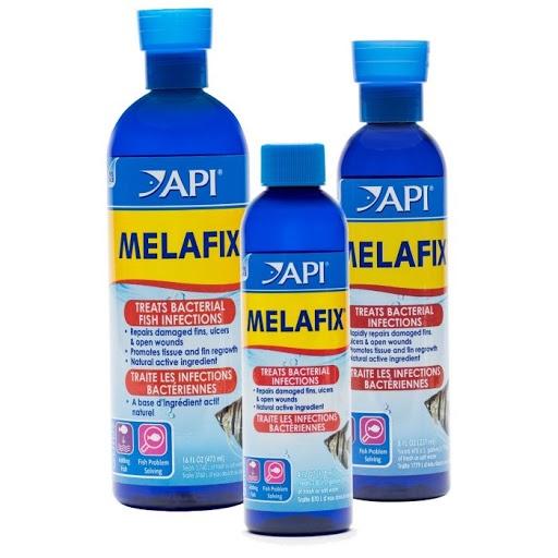 Melafix API - Thảo Dược Chăm Sóc Cá Nước Ngọt và Nước Mặn Cá Rồng, La Hán, Cá Vàng