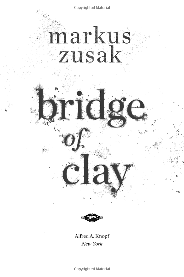 Bridge of Clay Hardcover