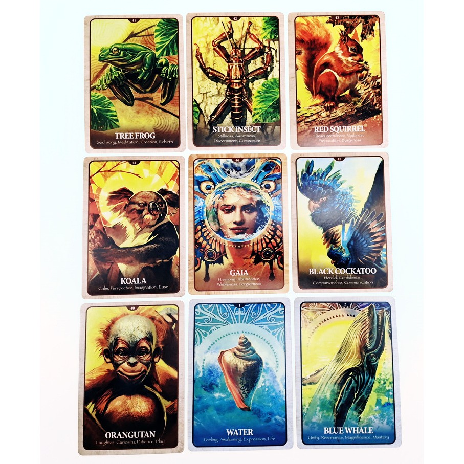 Bộ bài Secret Language Of Animals Oracle O8