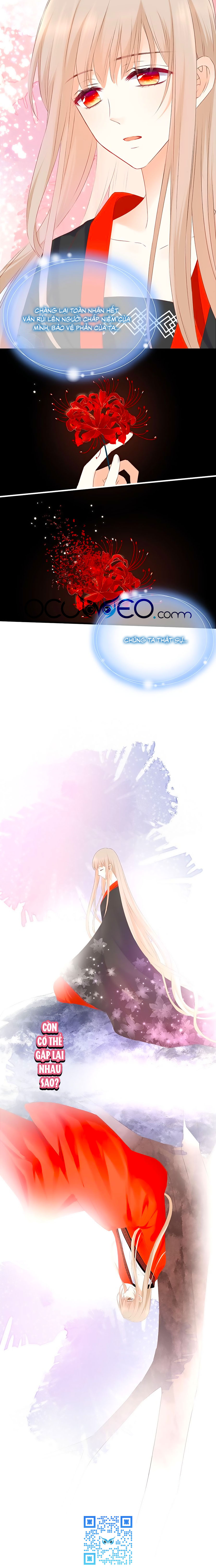 đóa hoa chớm nở chapter 60 9