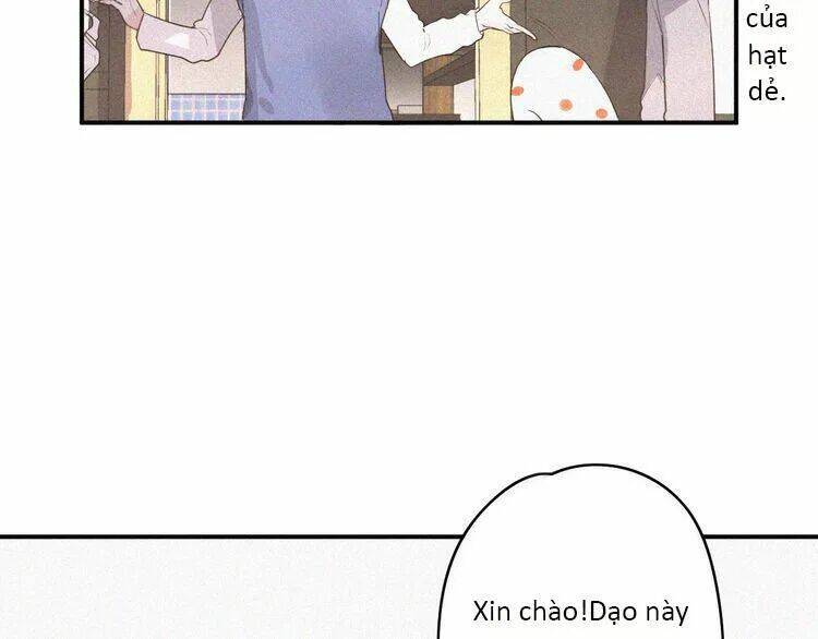 quy tắc của mỹ nam chapter 35 37