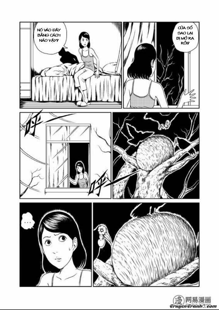 tổ chim chapter 1 10