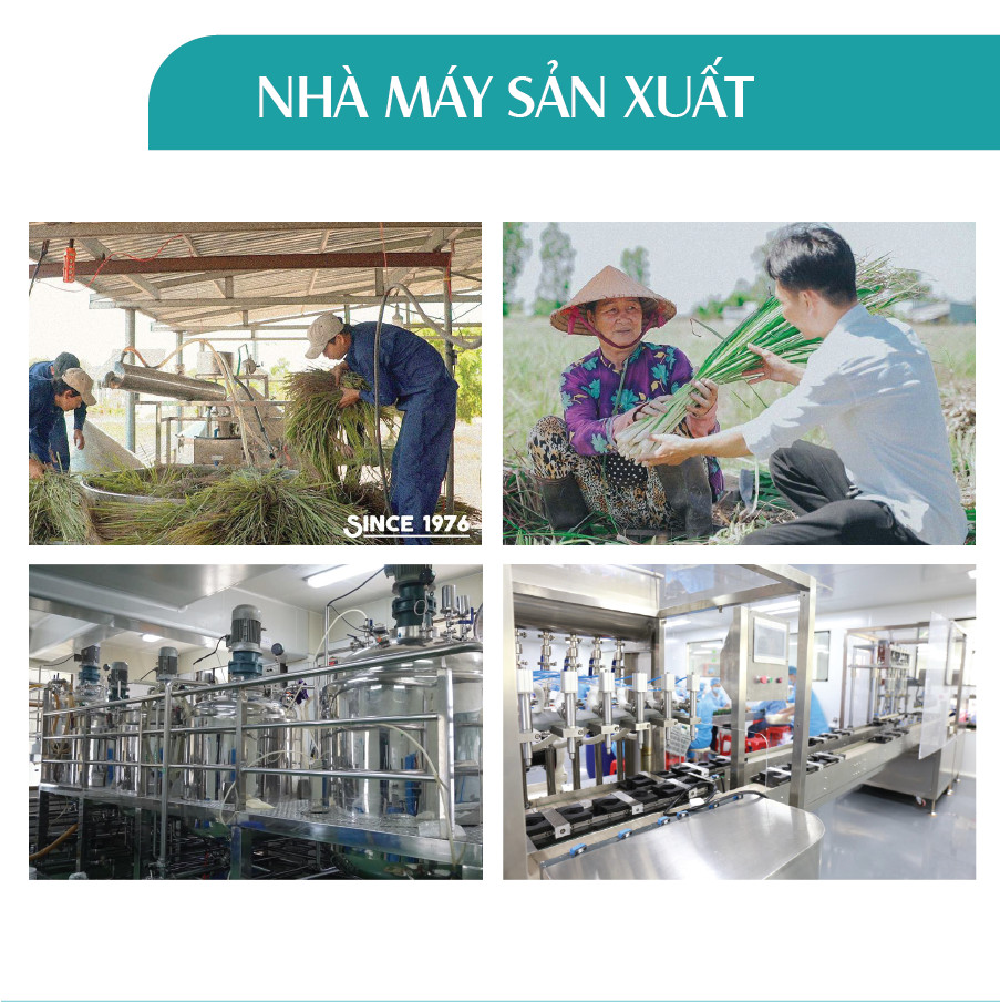 Tinh dầu xịt phòng Sả Hoa Hồng 24Care nguồn gốc thiên nhiên, đuổi muỗi, thơm phòng - [KHÁNG KHUẨN