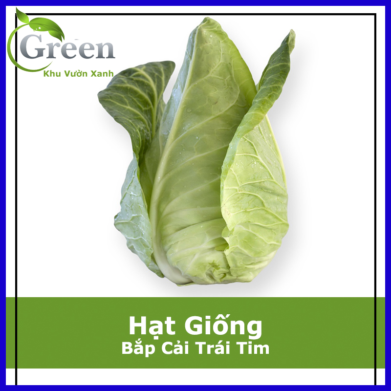 Hạt Giống Bắp Cải Trái Tim F1 Chịu Nhiệt