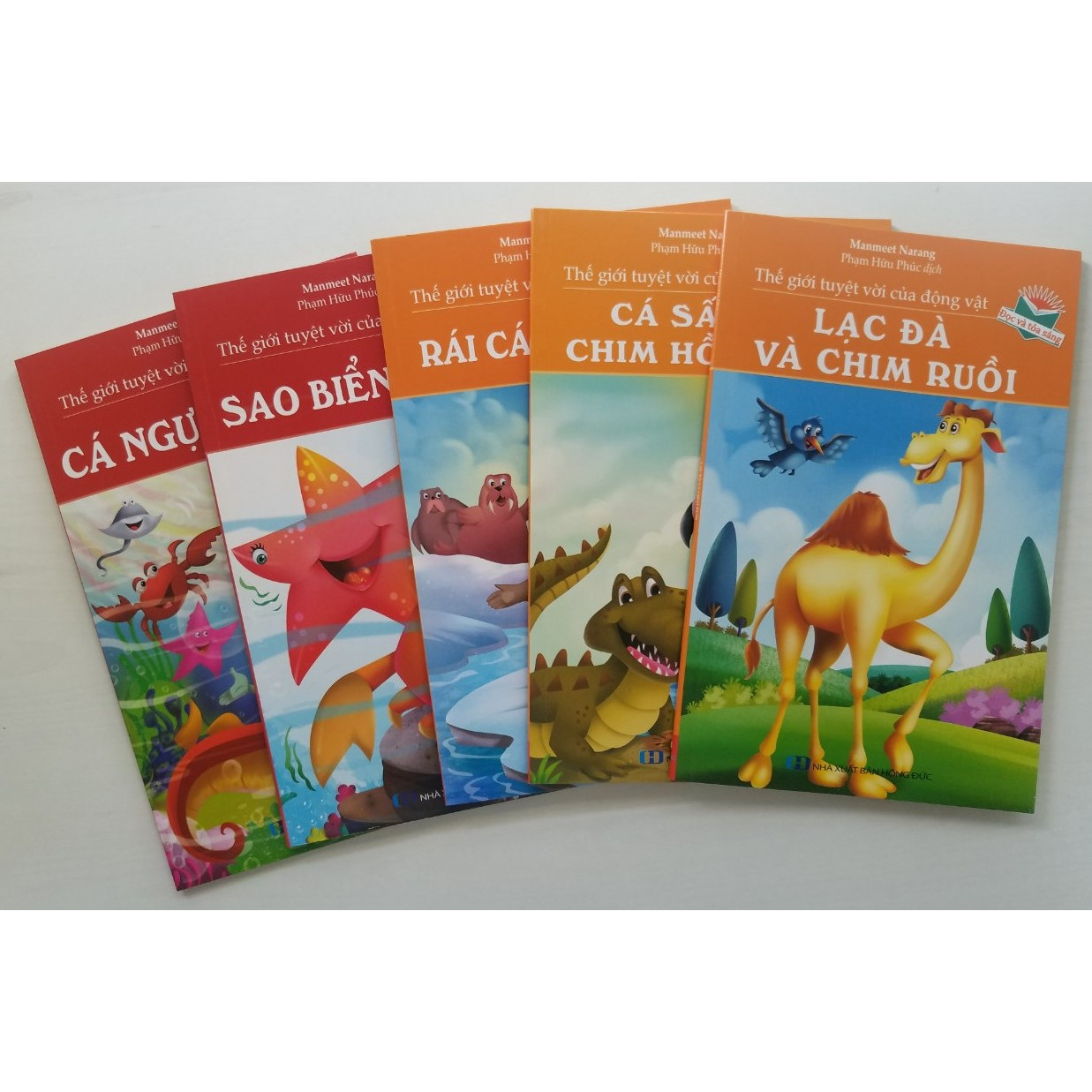 Combo Thế Giới Tuyệt Vời Của Động Vật: Cá Ngựa Và Sứa + Sao Biển Và Cua + Rái Cá Và Hải Sư + Cá Sấu Và Chim Hồng Hạc + Lạc Đà Và Chim Ruồi