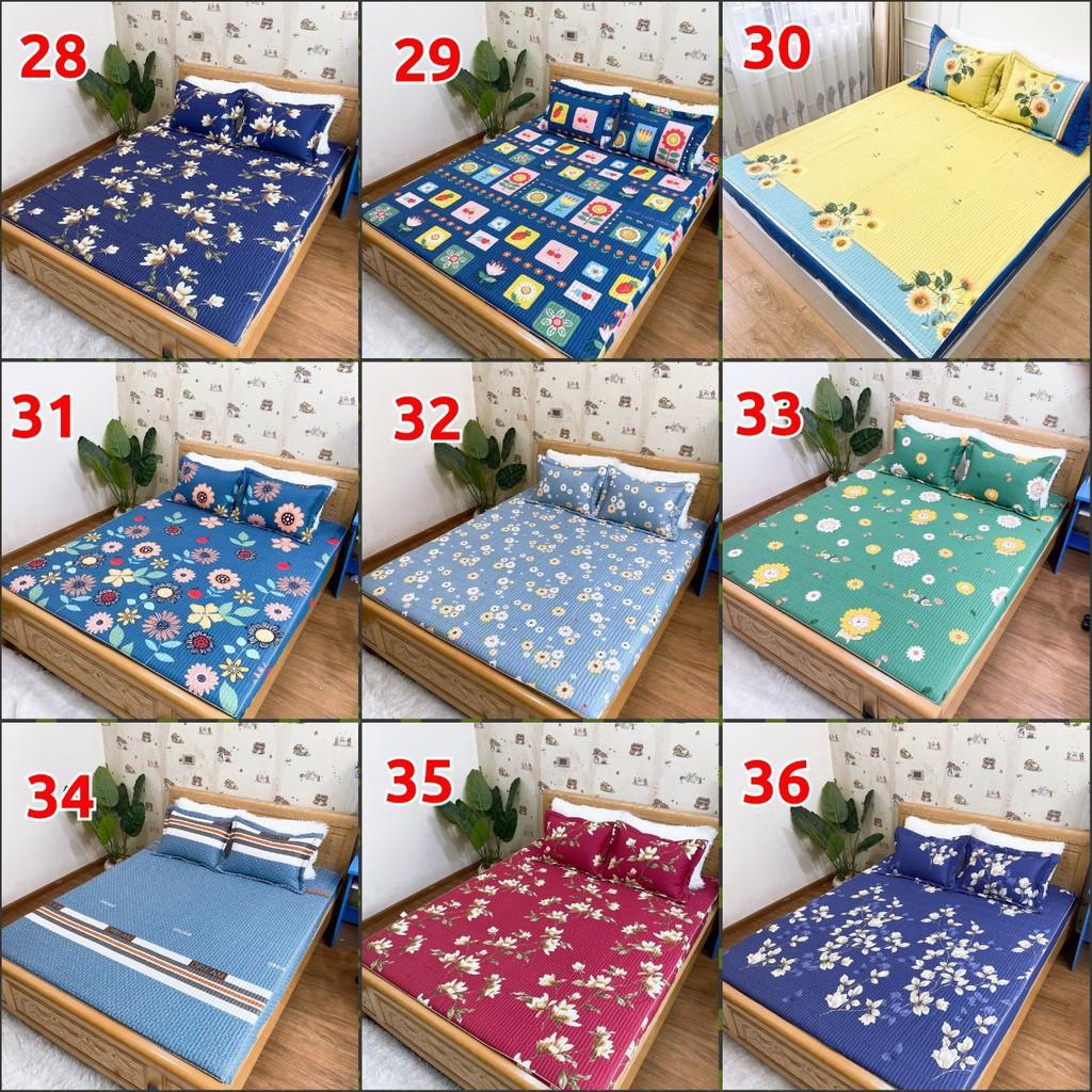 Bộ ga chun trần bông cotton Hàn Quốc kích thước 1m6/1m8/2m