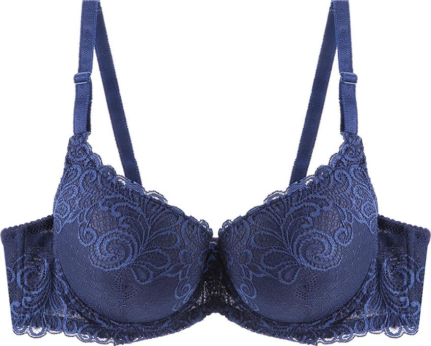 Áo Ngực Cao Cấp Mignon Ren Mút Dày AN074