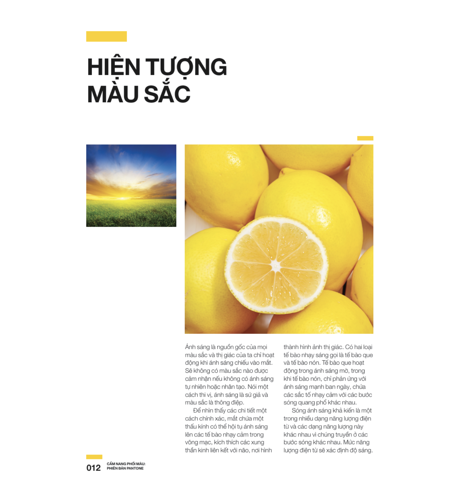Cẩm Nang Phối Màu Phiên bản Pantone