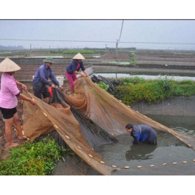 Lưới Quét Cá Cao 2m Dài 10m - 20m- 30m - 40m - 50m ( Đặt hàng theo yêu cầu ) hàng chất cao gia công chuyên nghiệp