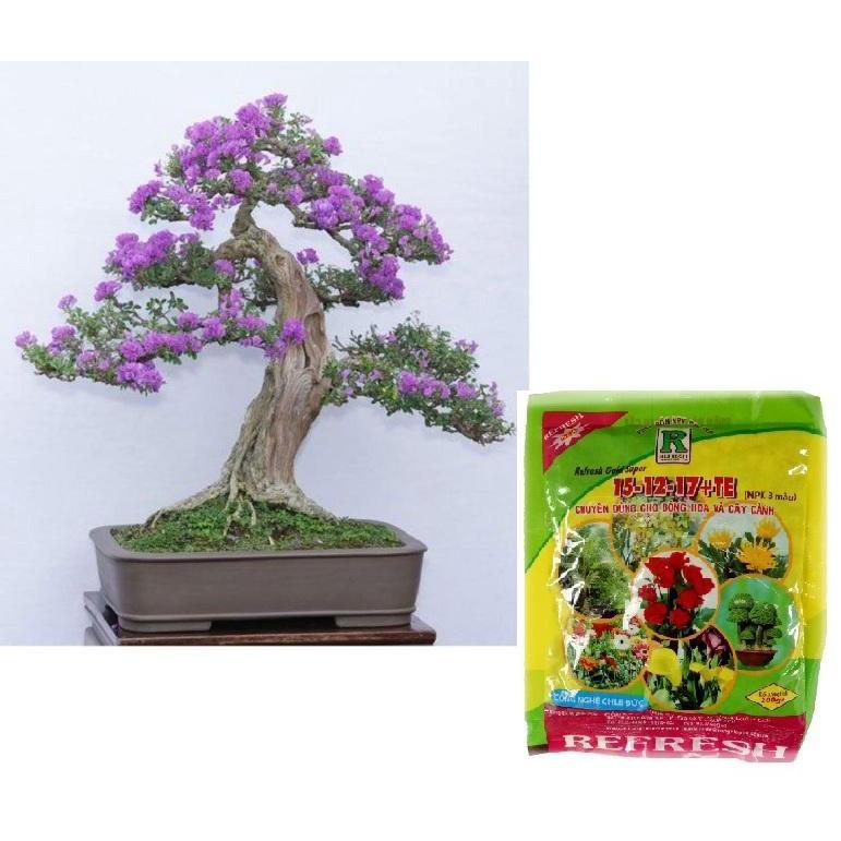 Phân Bón NPK 3 Màu Bịch 200gram - KNS3765