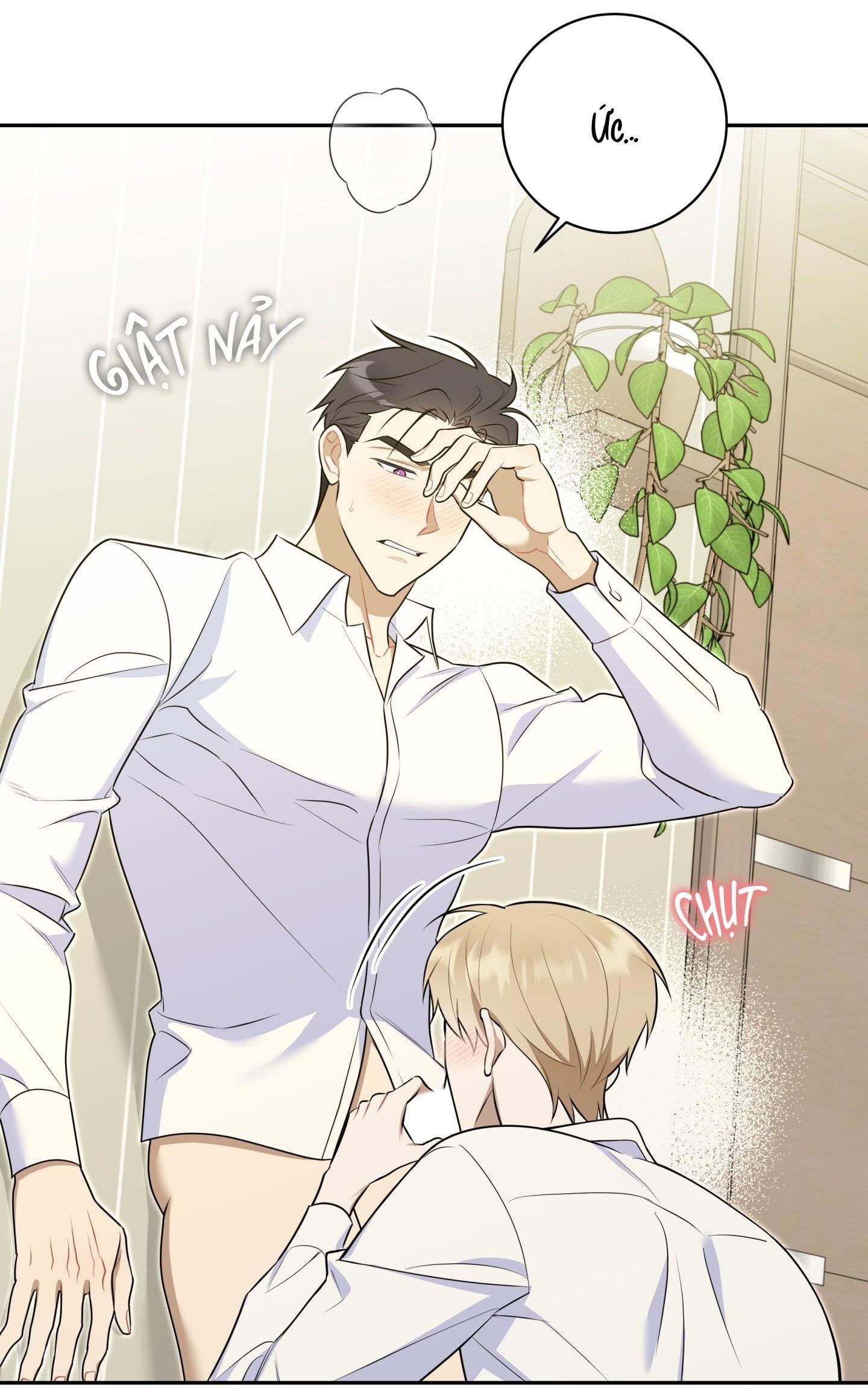 bắt tay hả, thôi bỏ đi! chapter 31 40