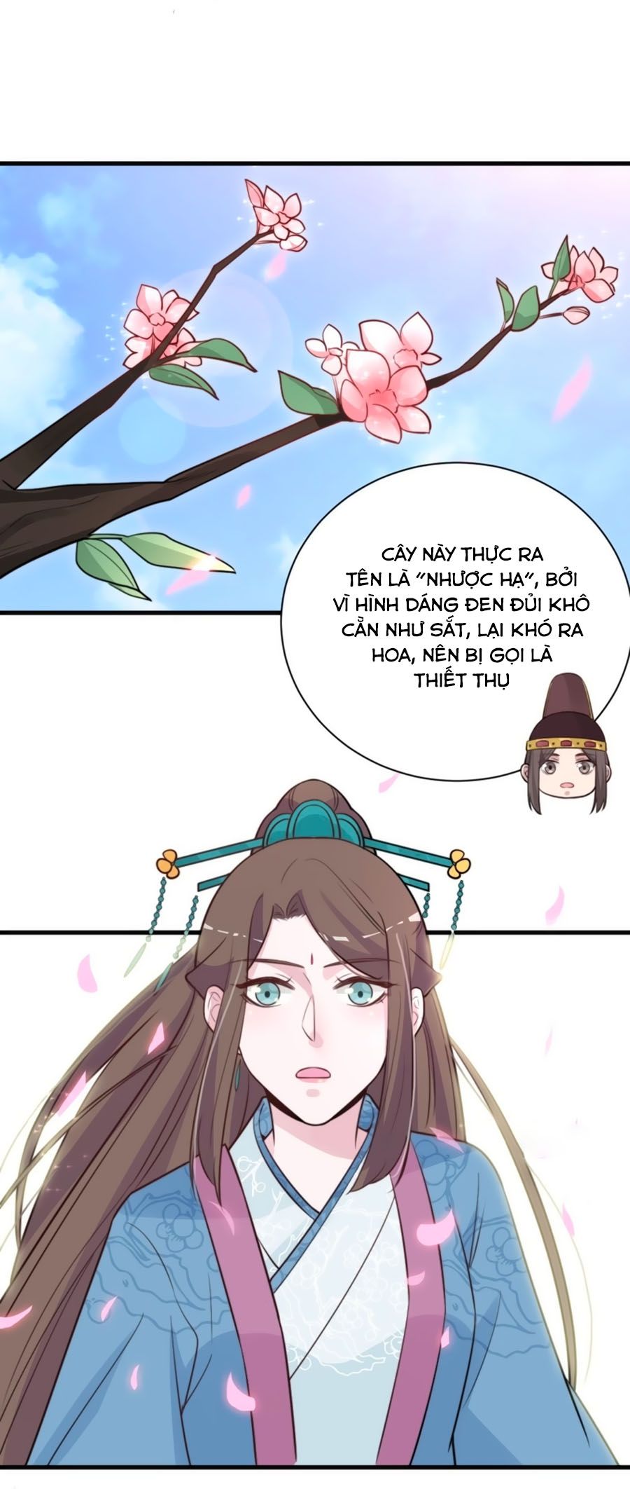cung đấu live chapter 44 19