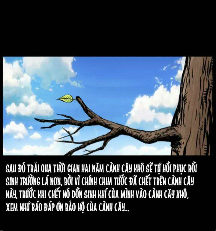 U Minh Ngụy Tượng Chapter 38 12