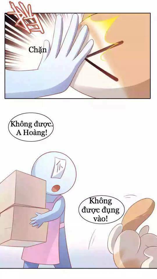 dưới móng vuốt mèo chapter 12 11