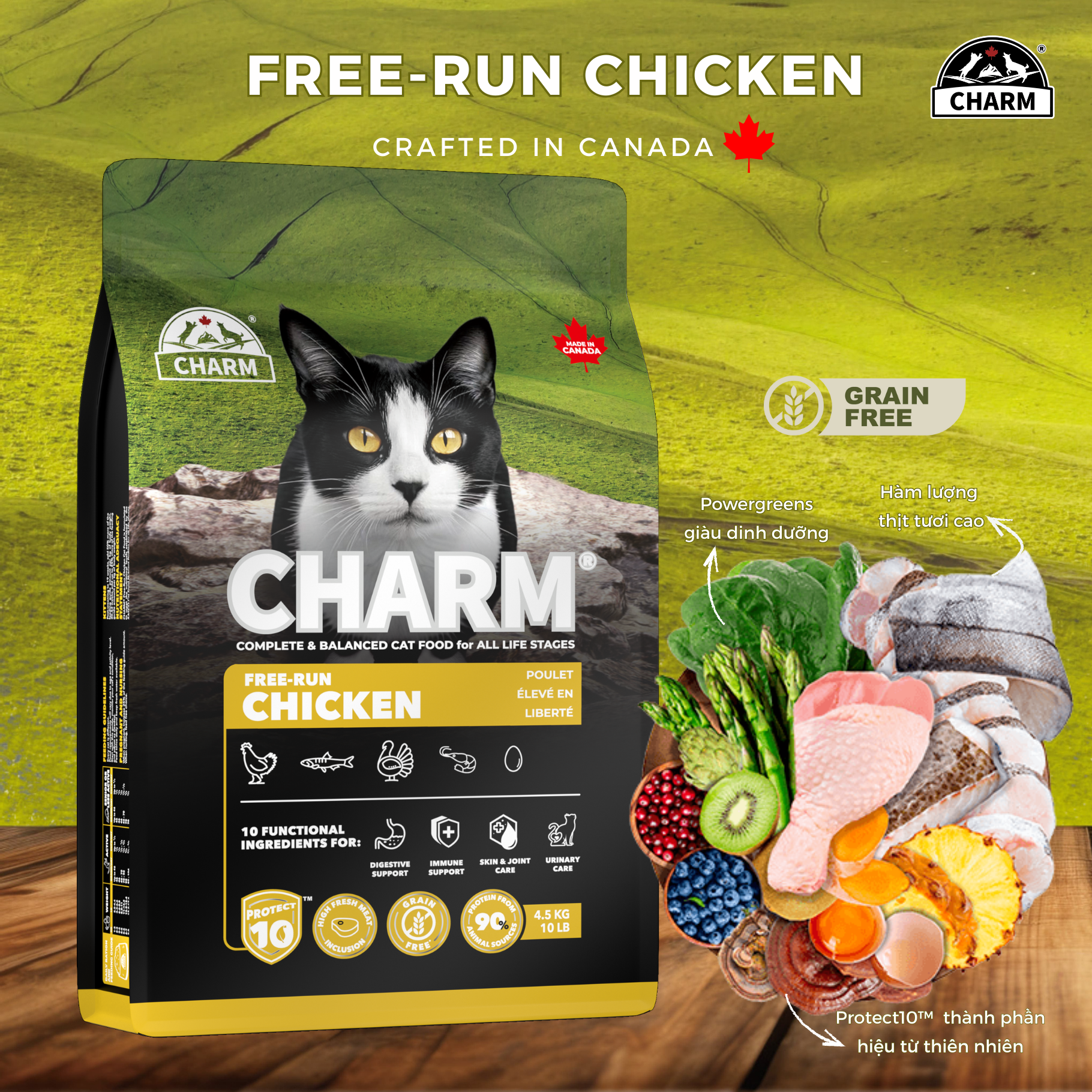 Thức Ăn hạt Mèo cao cấp Gà Cá CHARM Cage-Free Chicken Cat Food Dry food Canada - CHỌN