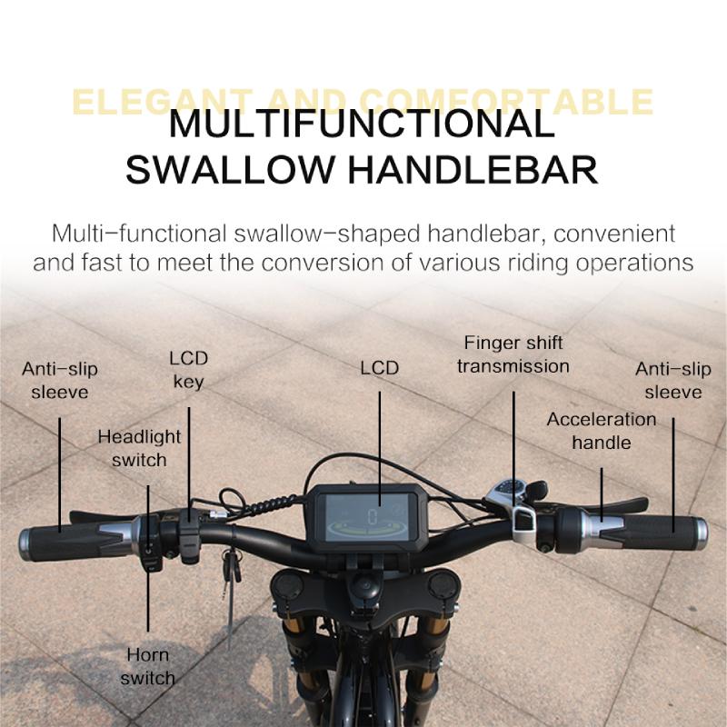 Xe Đạp Điện 1000W Dành Cho Người Lớn Xe Đạp Điện 20 Inch Lốp Xe Ebike 48V 17.5Ah Nam Nữ Đi Đen Color: 48V 750W