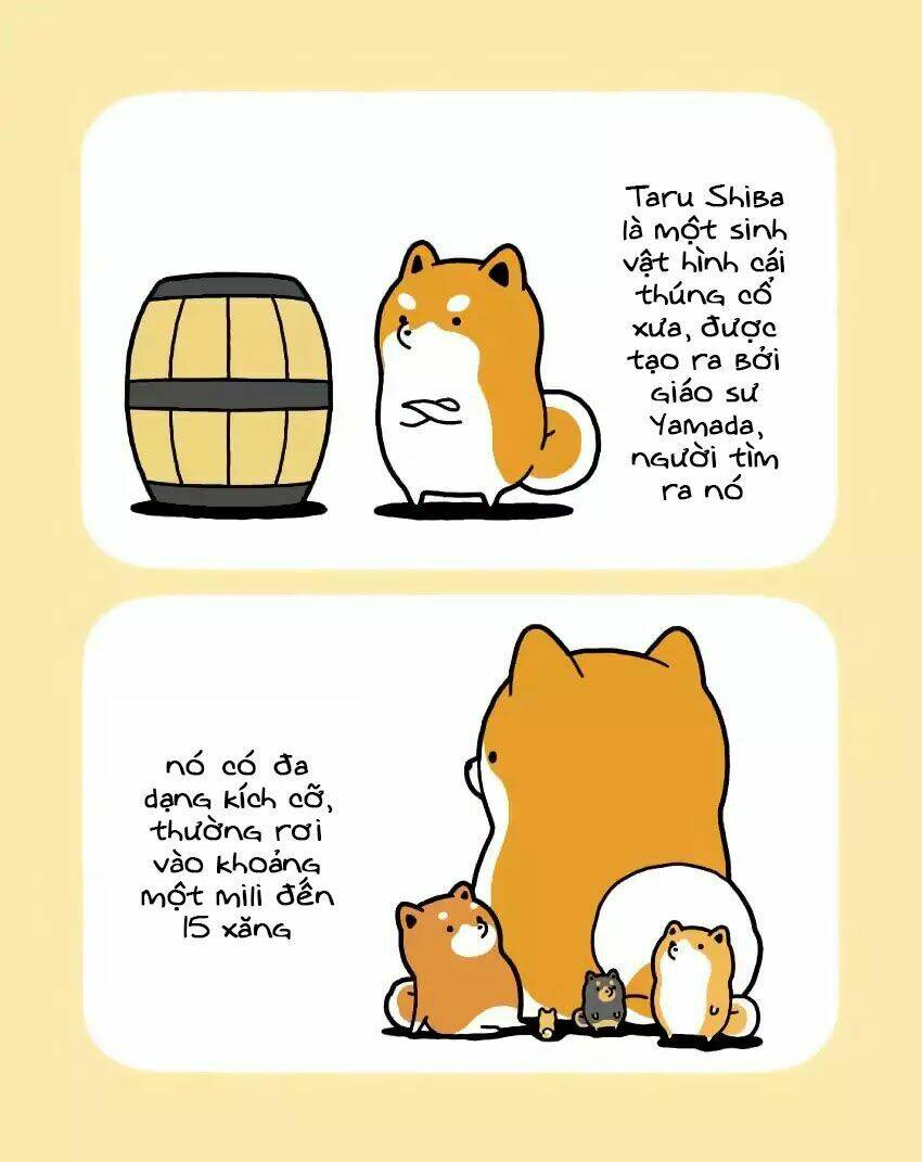 taru shiba chapter 1 7