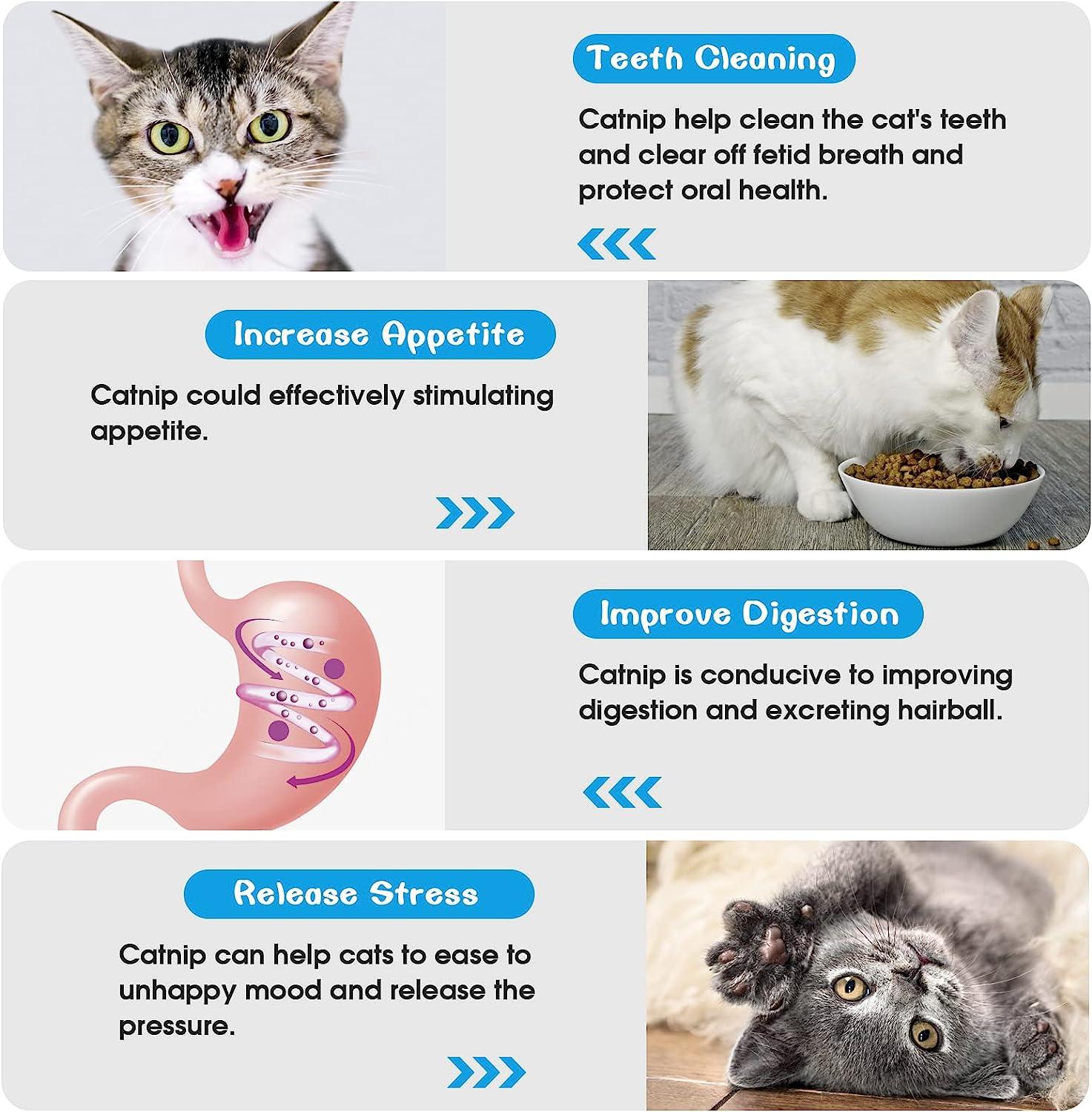 Bóng Catnip cho mèo,Con lăn dán tường Nha khoa có thể xoay Nha khoa Đồ chơi nhai có thể ăn được Mèo liếm làm sạch răng và Đồ chơi mèo tương tác lò xo Kitty