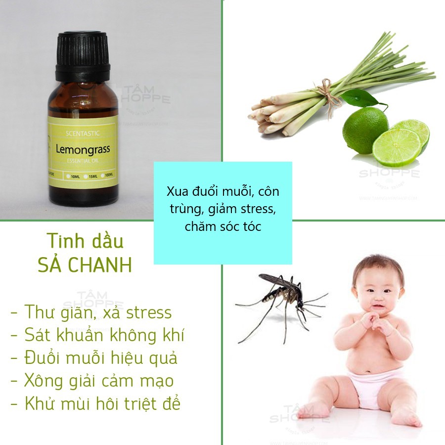 Combo 3 lọ Tinh dầu sả chanh đuổi muỗi, côn trùng, giảm stress nguyên chất 10ml