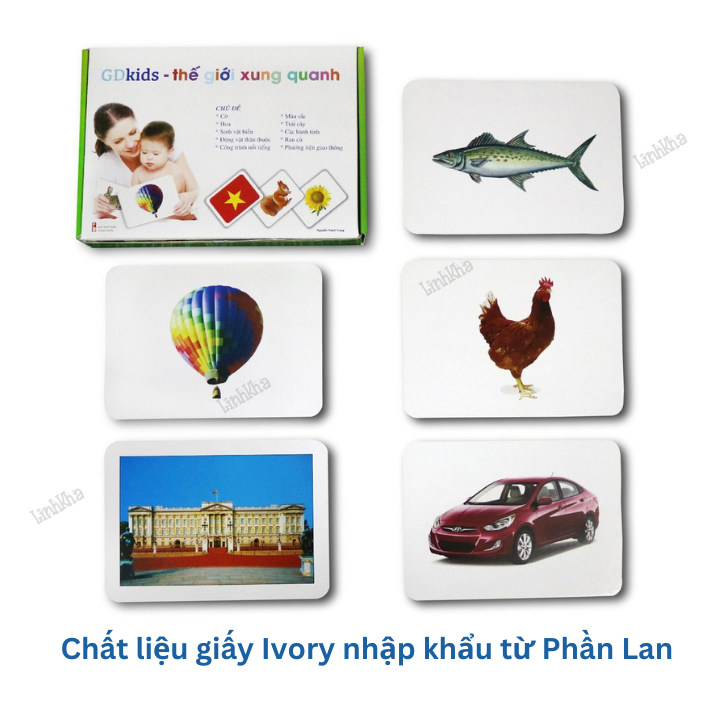 Flashcard - Bộ 100 Thẻ Dạy Trẻ Thế Giới Xung Quanh Theo Phương Pháp Glenn Doman - TN0005