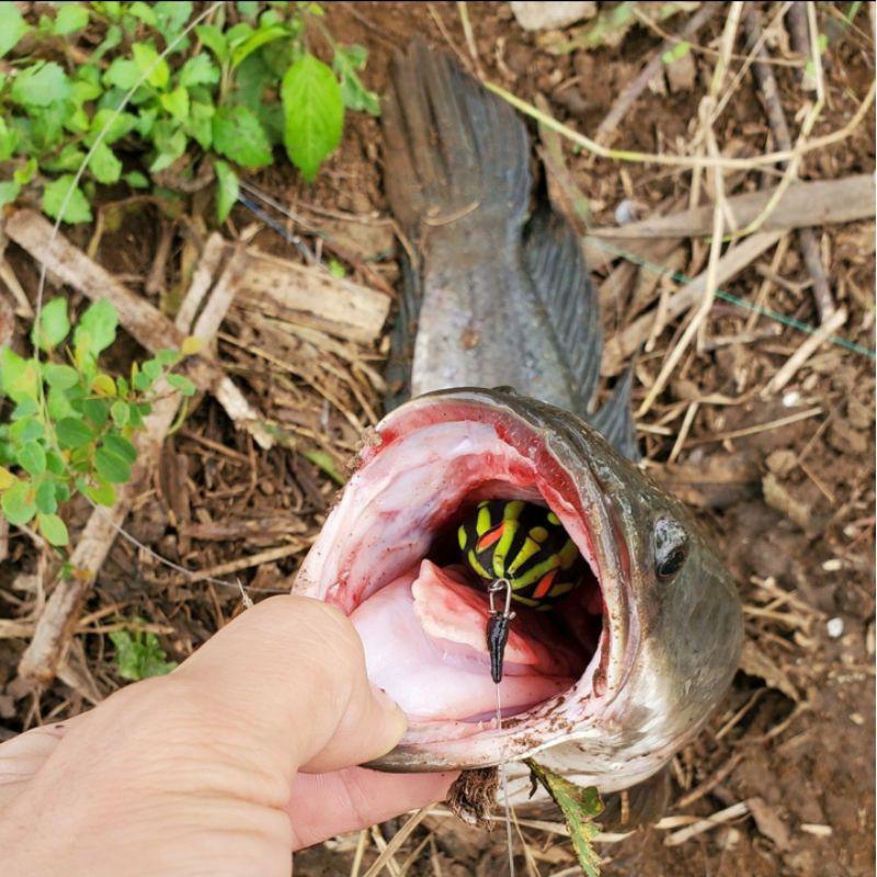 Mồi chìm câu cá : Poison GITD , HVA , F35 , F45S , nhái hơi câu Lure