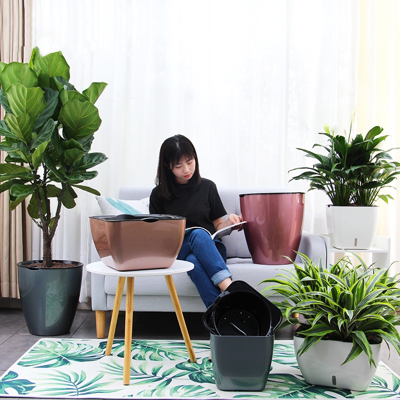 Chậu trồng cây G113. Chậu trồng cây thông minh tự dưỡng, có chức năng tự tưới nước cho cây