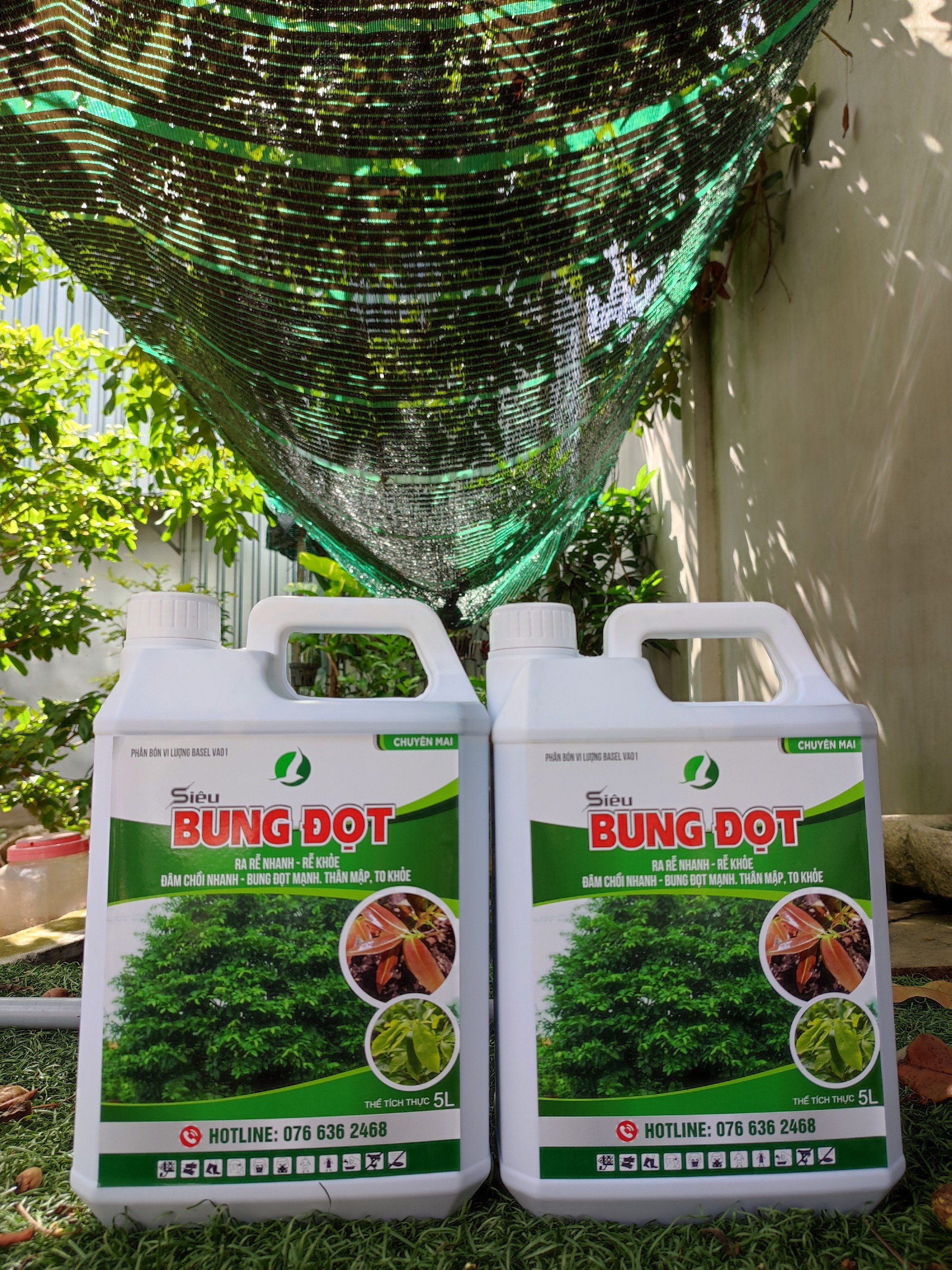 SIÊU BUNG ĐỌT CHUYÊN CHO MAI - Giúp cây tăng trưởng, nhú đọt mạnh, giúp lá dày xanh bóng