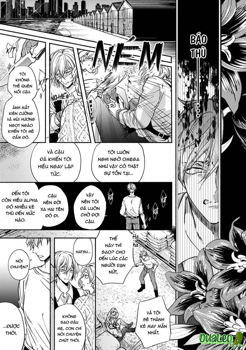 omega giả vờ kiên cường đó là bạn tình của tôi chapter 3 23