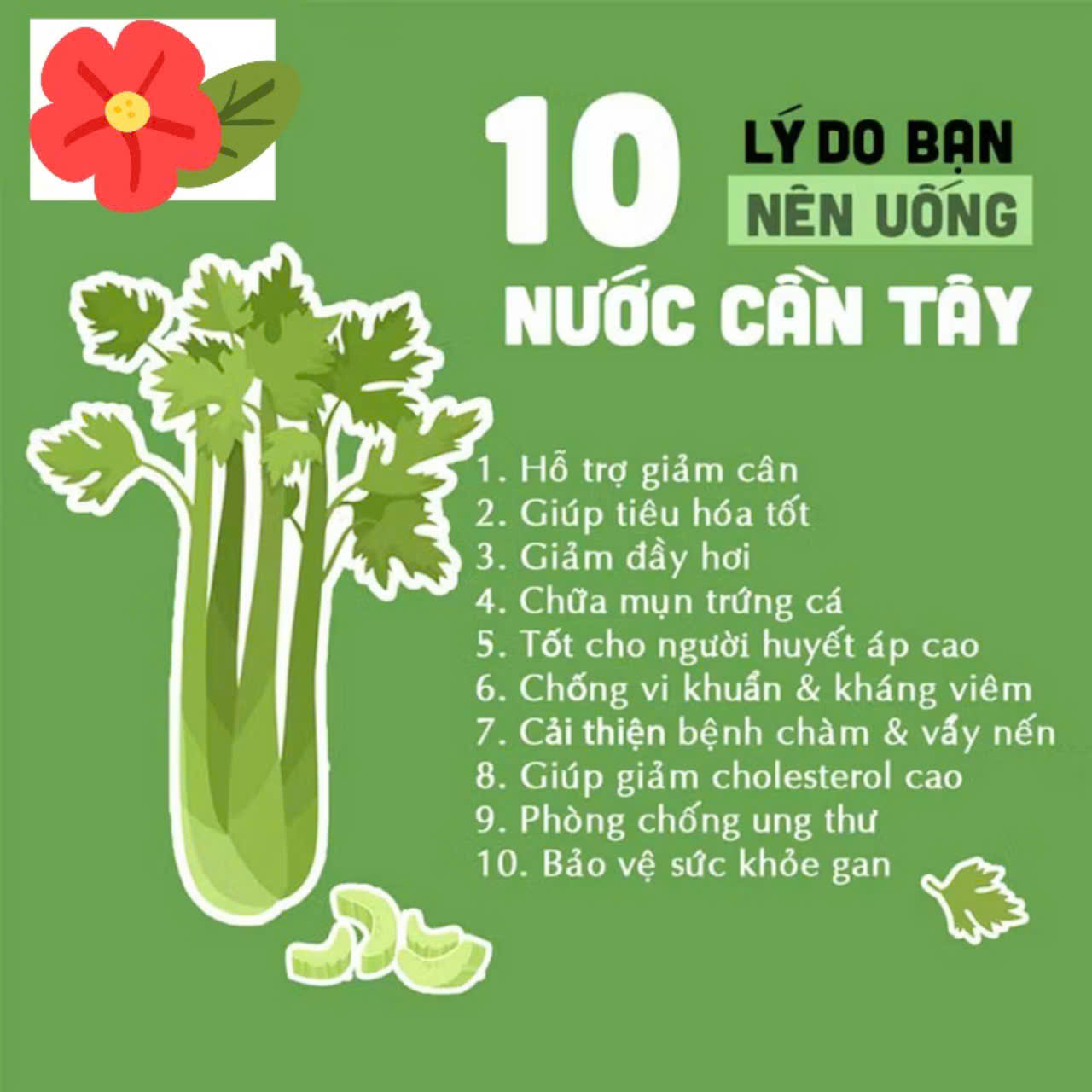Bột cần tây nguyên chất sấy lạnh