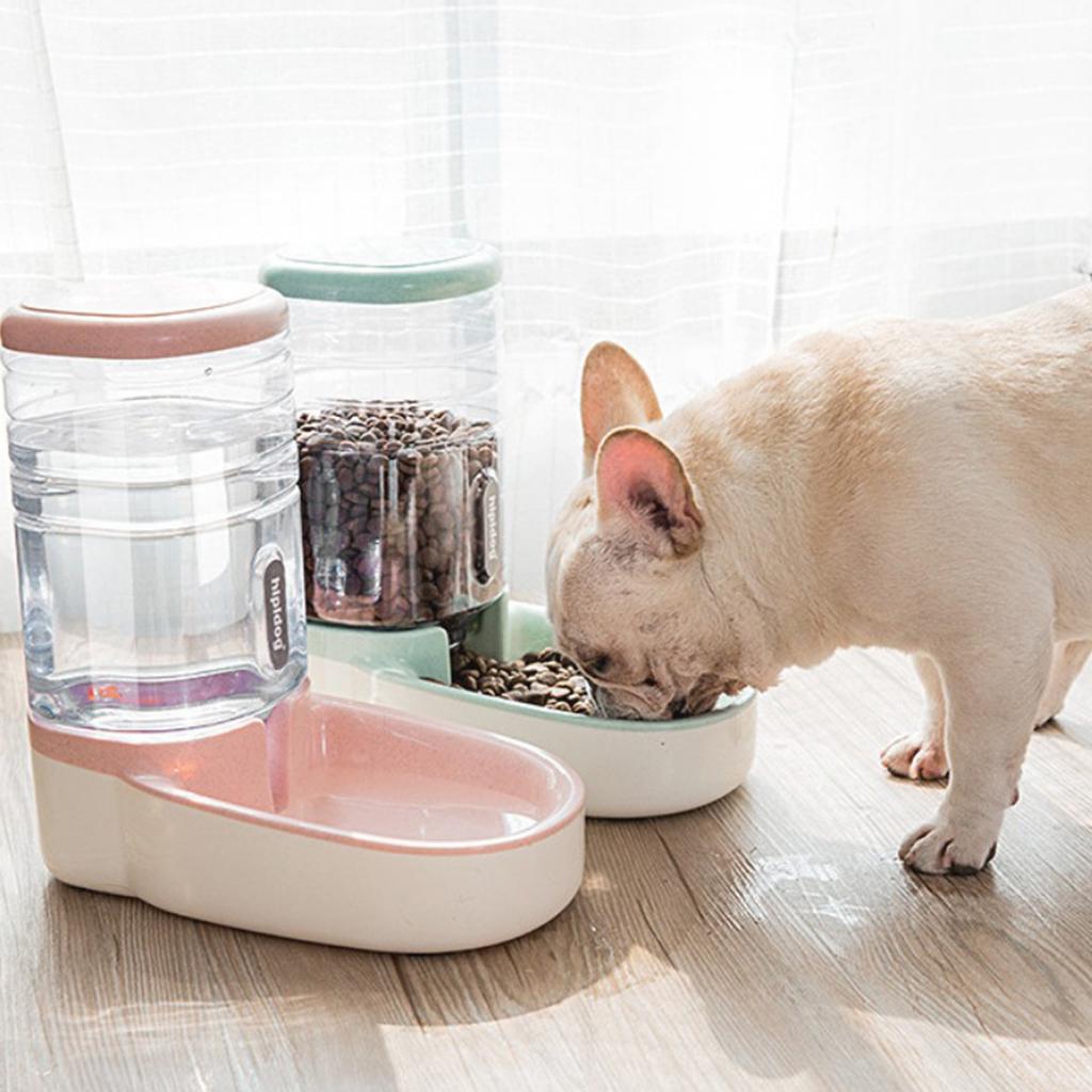 Large Capacity Automatic Pet Feeder Waterer Food Dispenser Blue