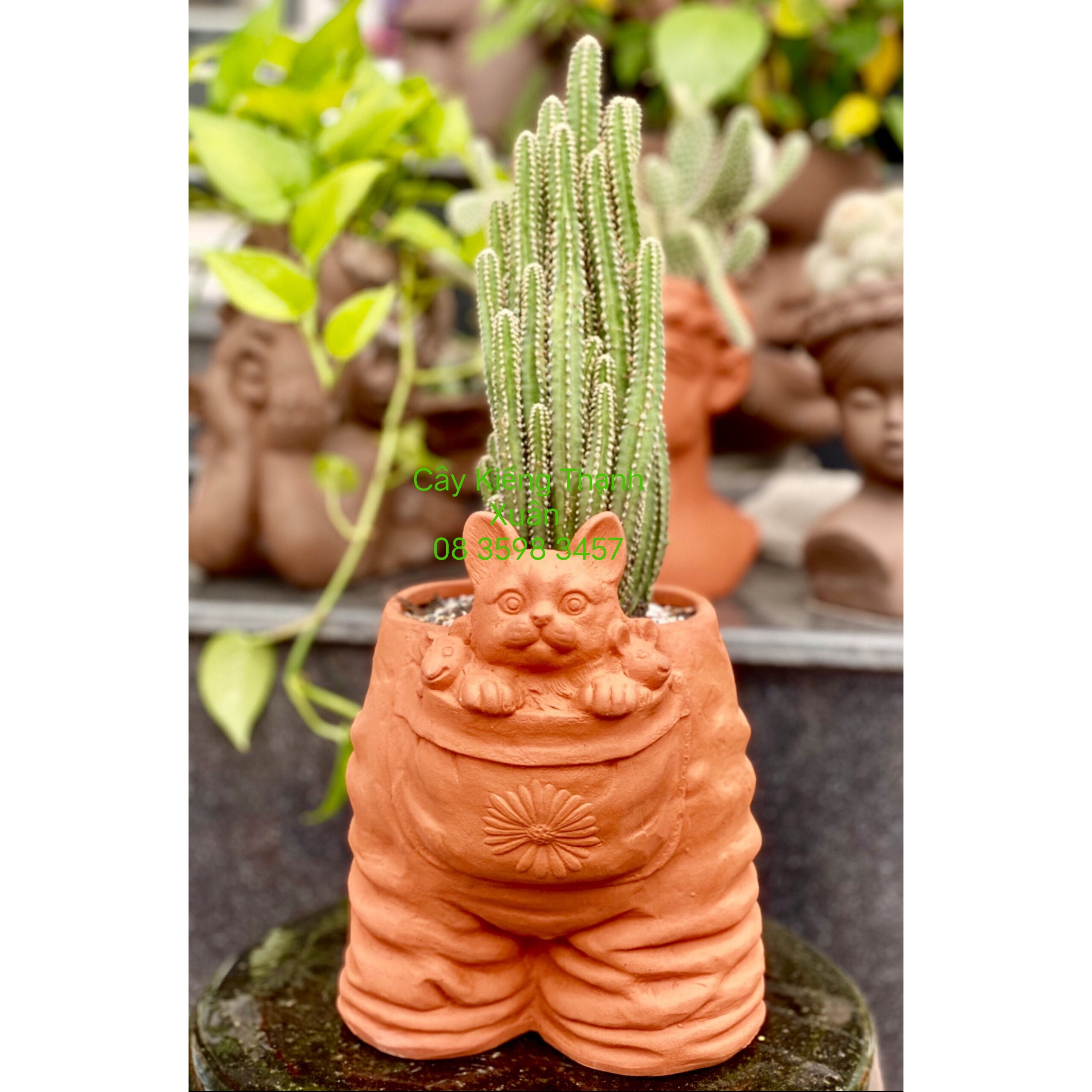 Chậu đất nung trồng cây - Chậu trồng cây sen đá, xương rồng Hình quần hoa  có lỗ thoát nước