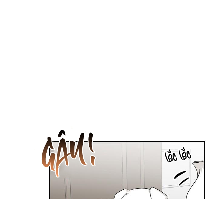 xác suất tình yêu chapter 62 2