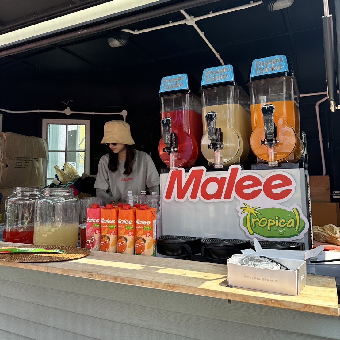 Nước Ép Hỗn Hợp Vải Và Nho Trắng Malee Tropical 1L