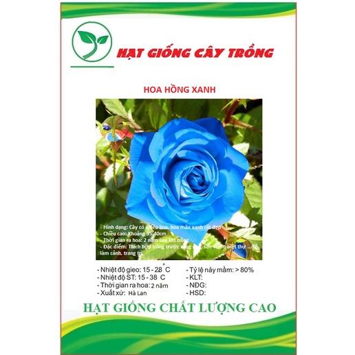 Hạt giống hoa hồng xanh CT249 - Gói 10 hạt