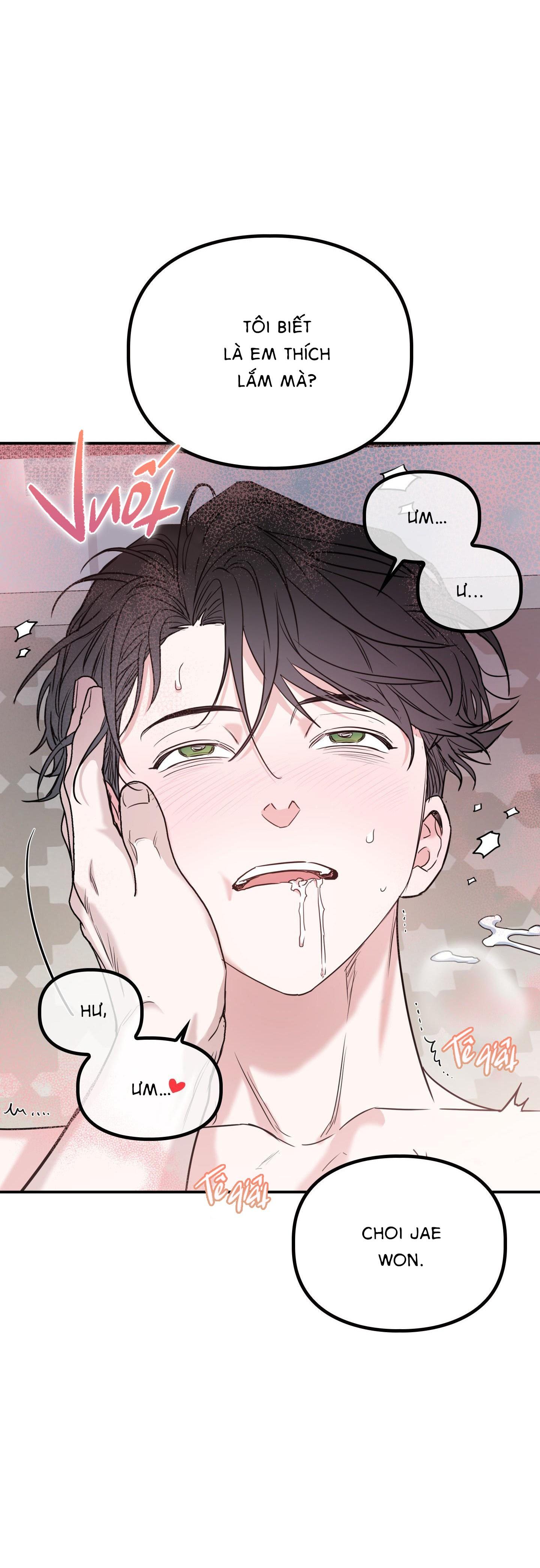 alpha mặt hàng không thể trả chapter 2 5