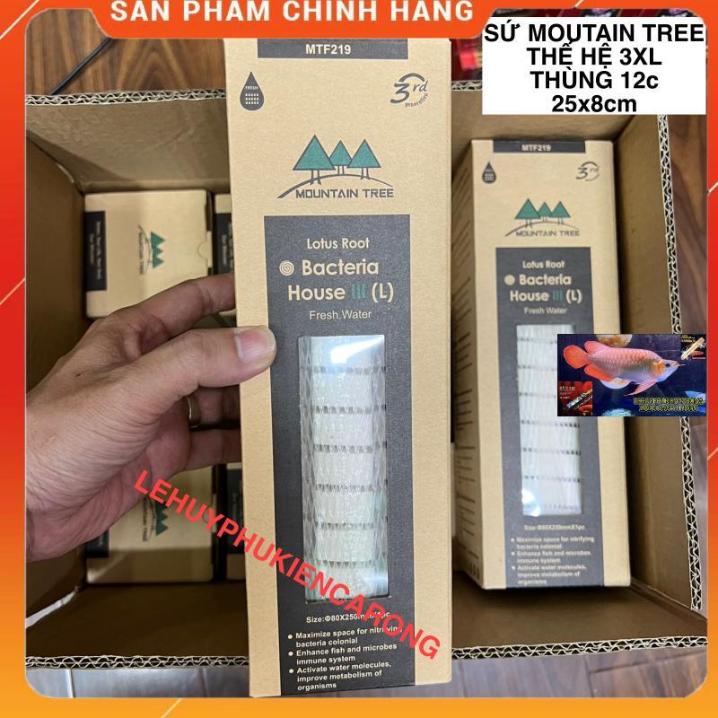 Sứ Củ Sen Thế Hệ 3 Mountain Tree - Size 25cm x 8cm