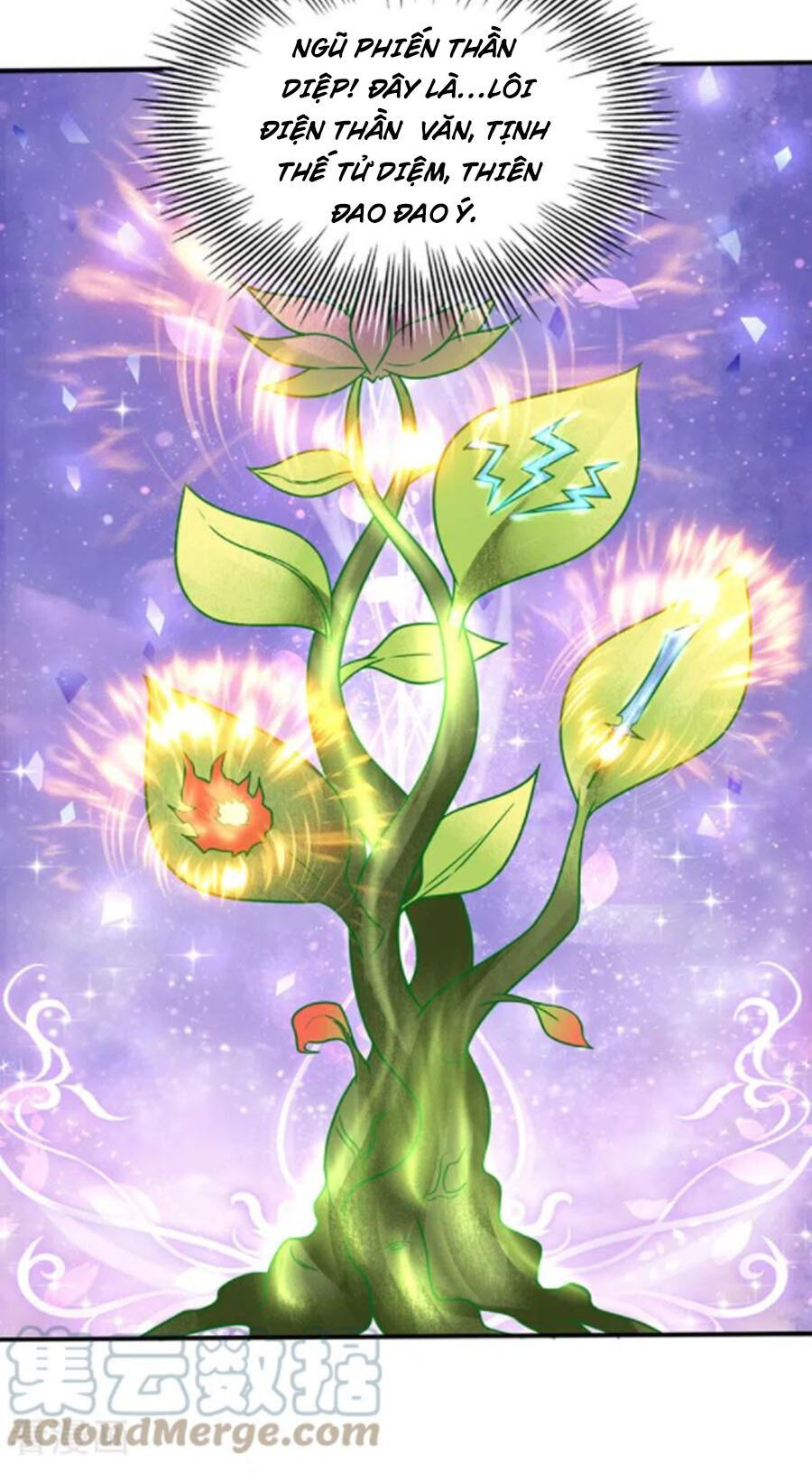 tối cường thần y tại đô thị chapter 240 5