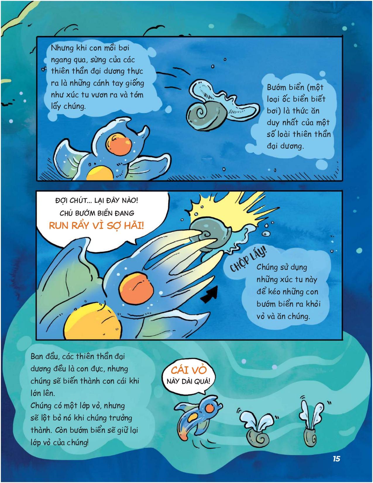 Siêu Nhí Khám Phá Đại Dương