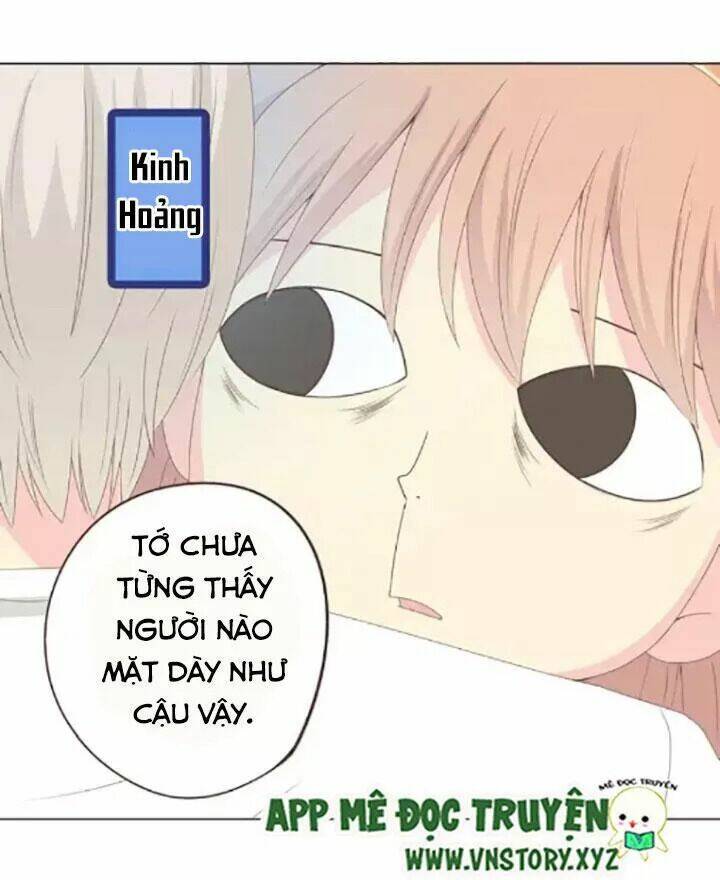 xin chào! dân nữ chapter 48 14