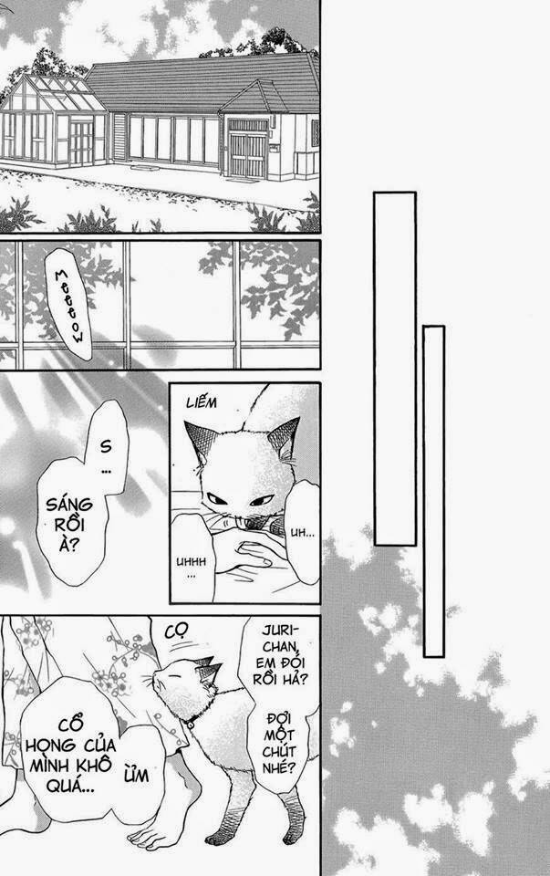 sumika sumire chapter 1 42