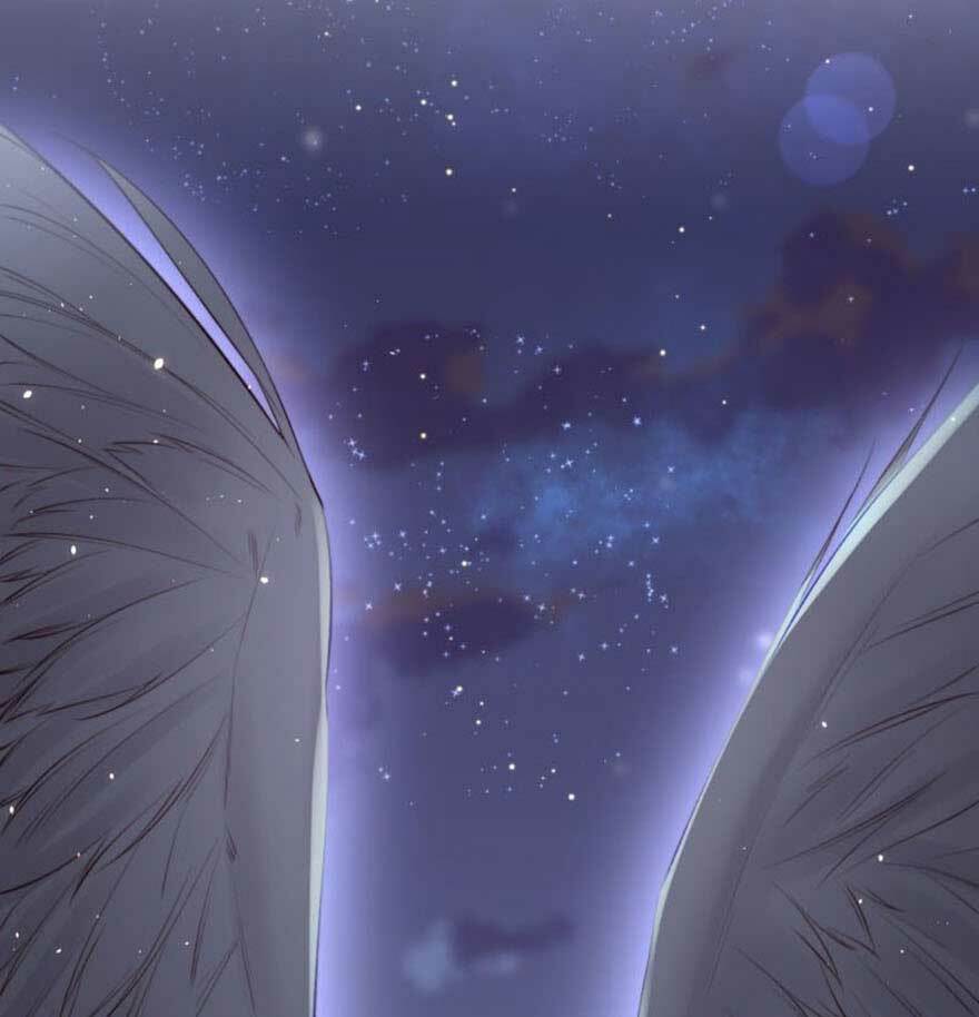 triều tây, in or out chapter 25.1 17