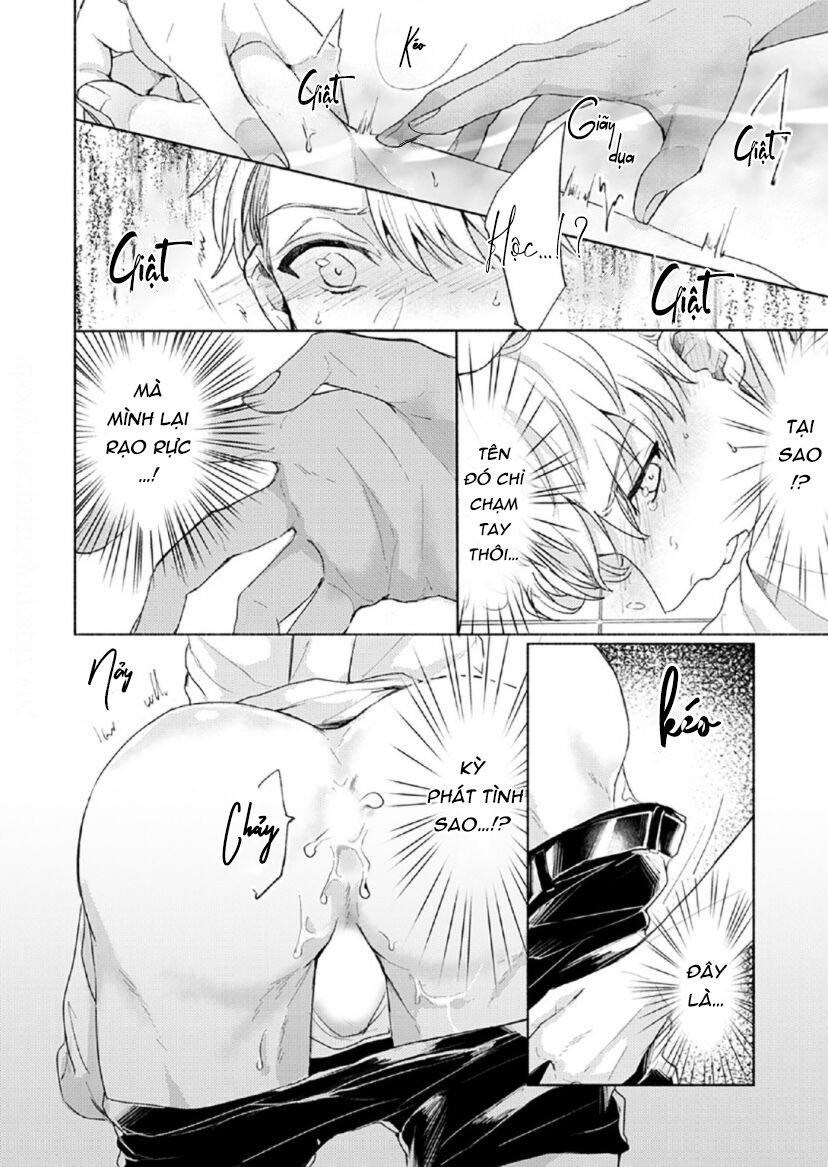 vết cắn tình đầu chapter 4 12